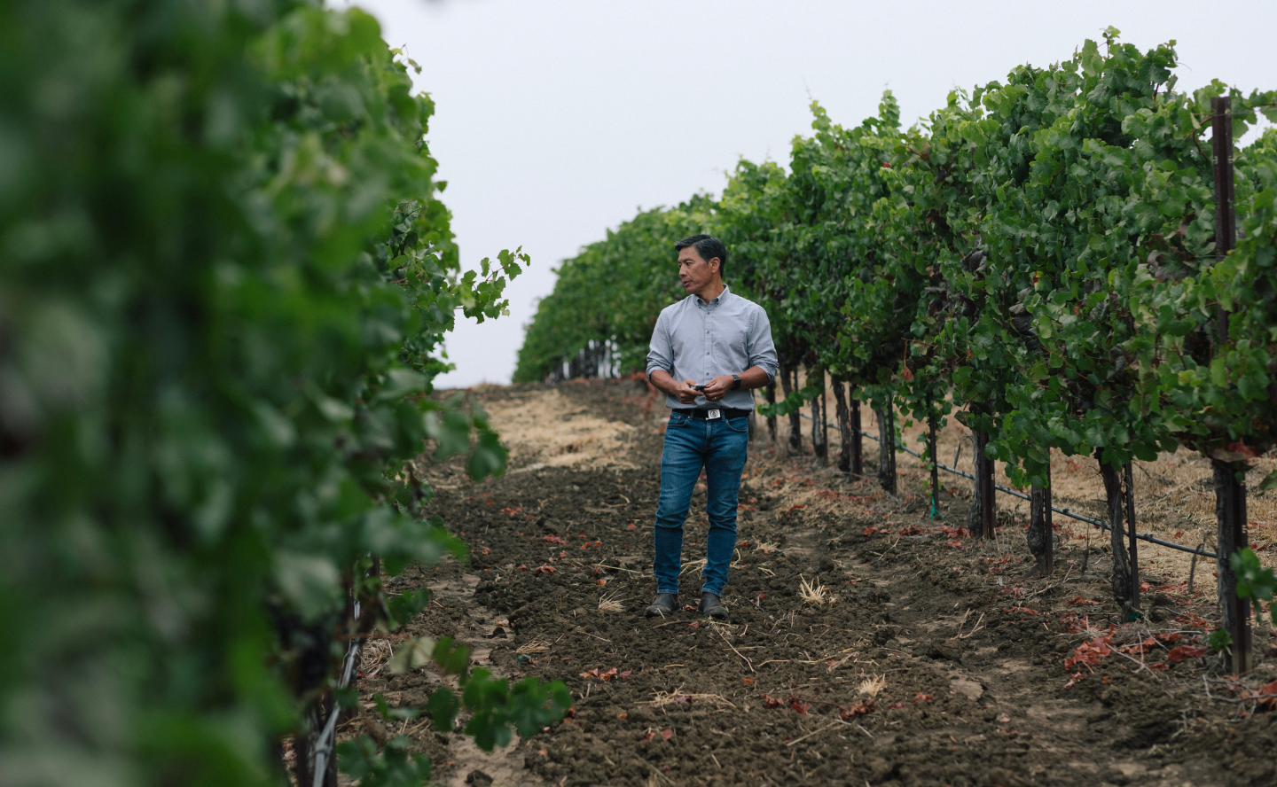 Rob Takigawa in Vineyard