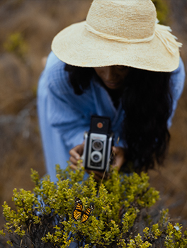 Woman in a field taking a photo of a Monarch Butterfly on yellow flora.